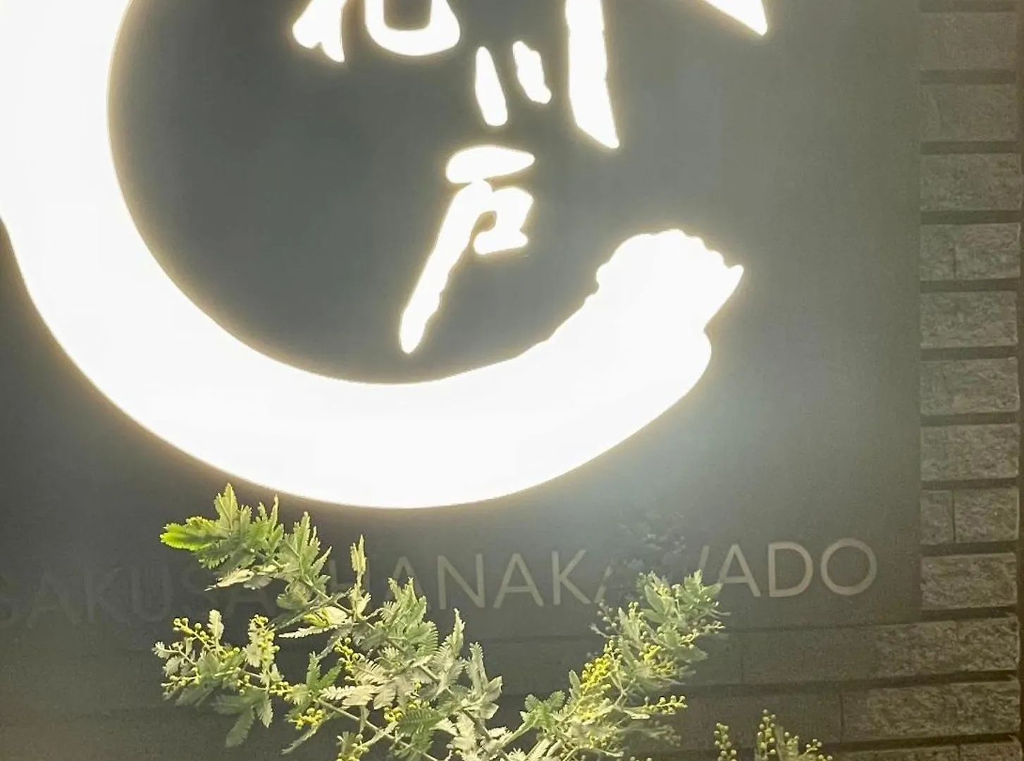 Asakusa Ko: Traditional Tatami Room Near Asakusa Station Tokyo Apartment